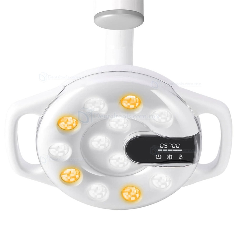 Bonin T12C L&aacute;mpara LED para sill&oacute;n dental con 12 LEDs